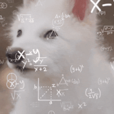 MATEMÁTICAS